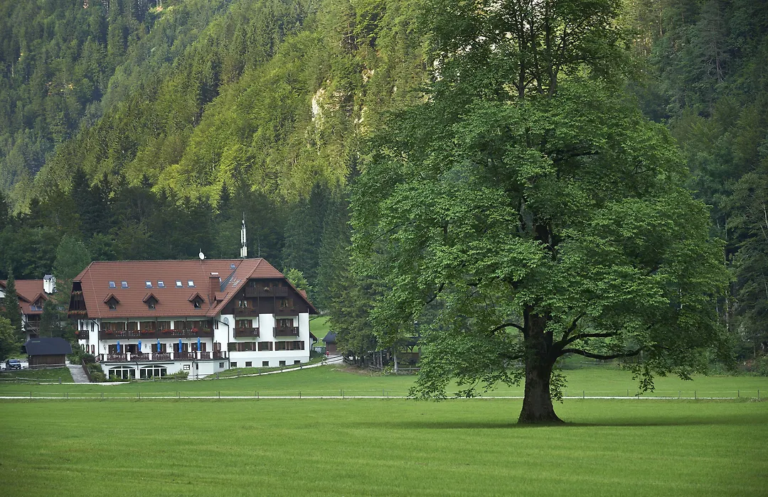 Hotel Plesnik Logar Valley-1