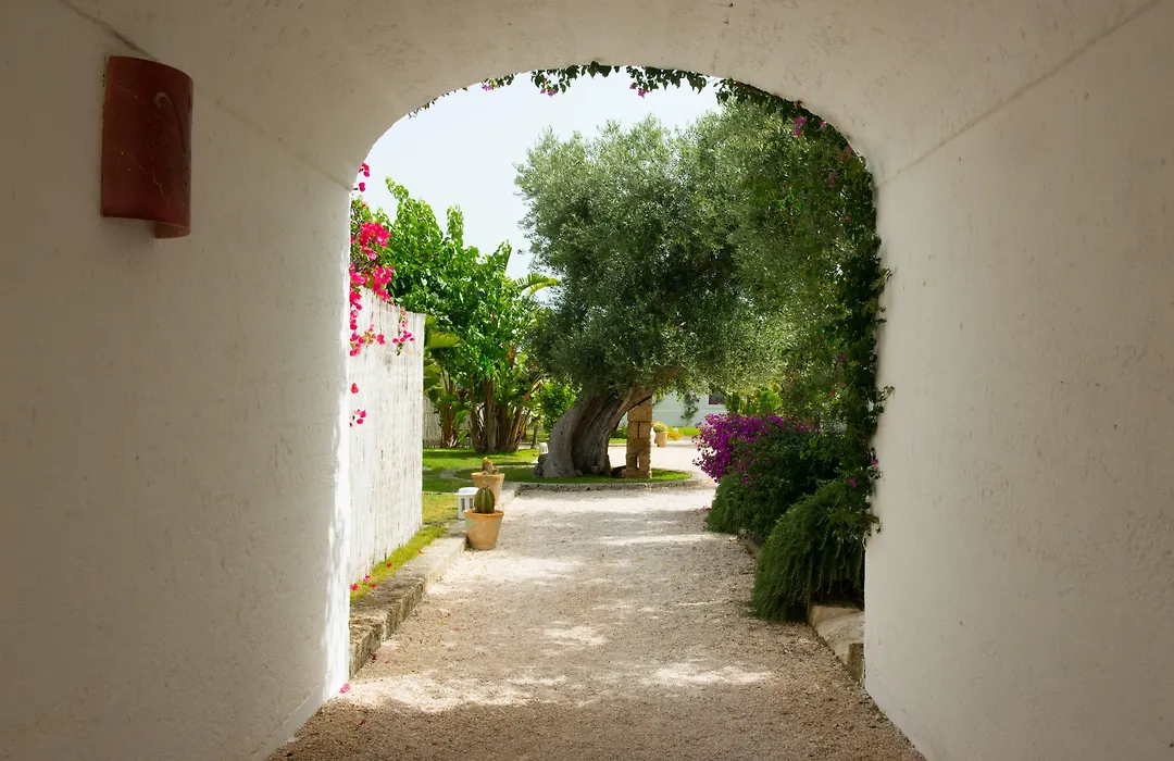 Masseria Torre Coccaro-1