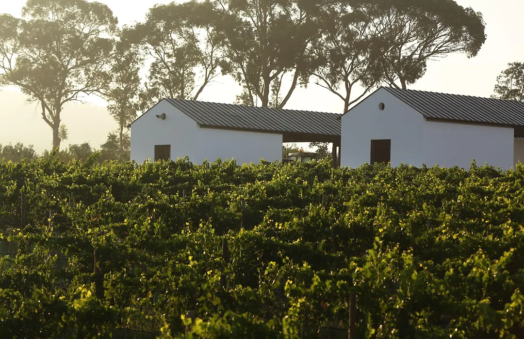 Torre De Palma Wine Hotel, Monforte, A Member Of Design Hotels-1