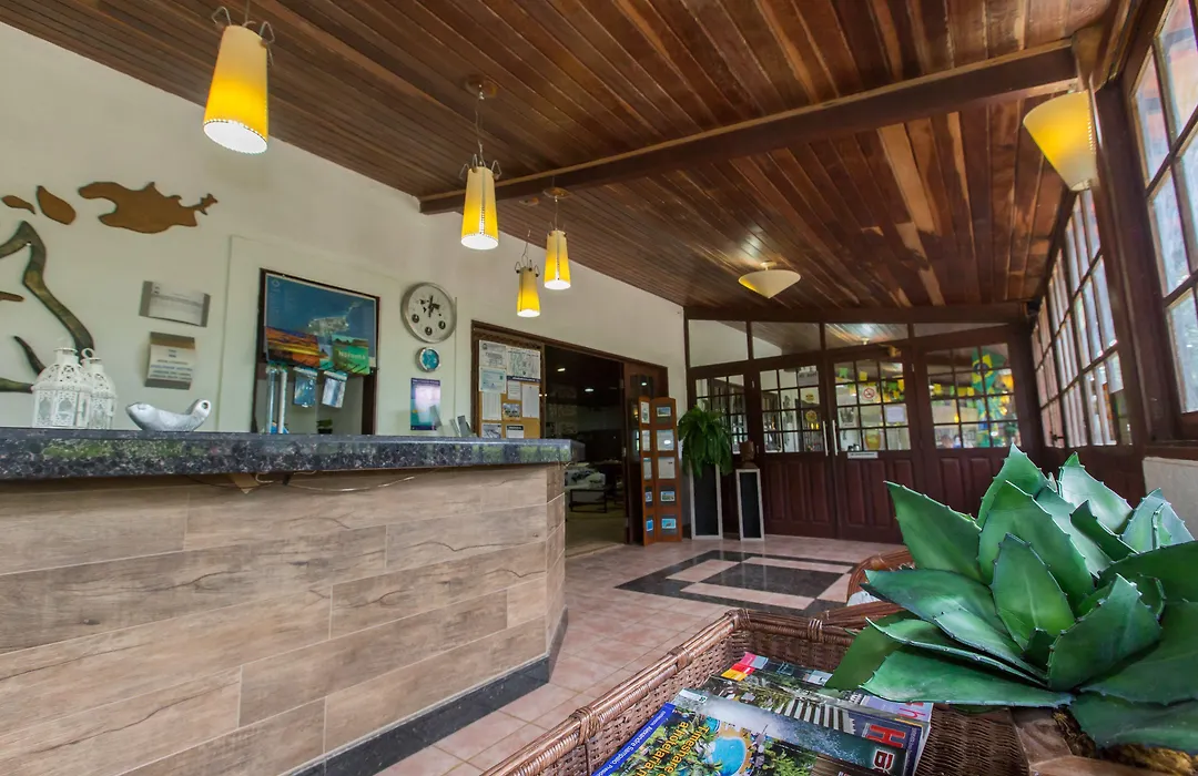 Dolphin Hotel-1
