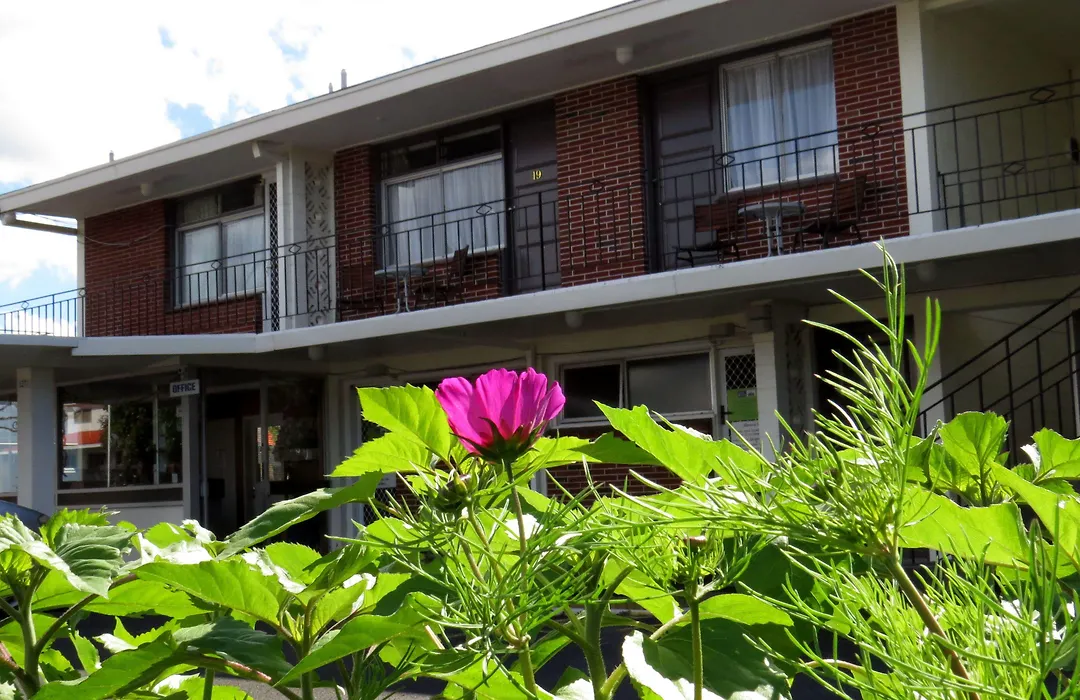 Kuirau Park Motor Lodge- Thermal Mineral Pool-1