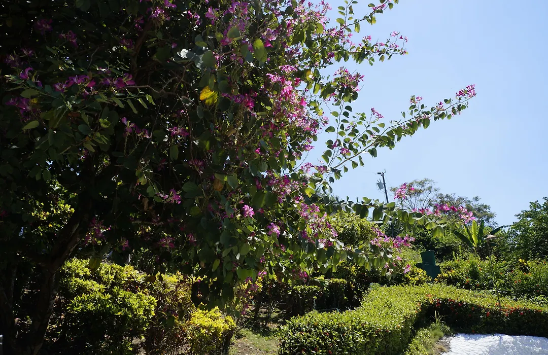 Hotel Villas De La Selva-1