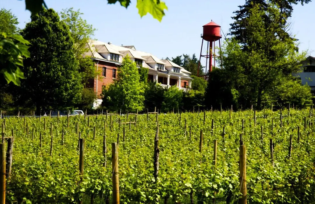 Mcmenamins Edgefield-1