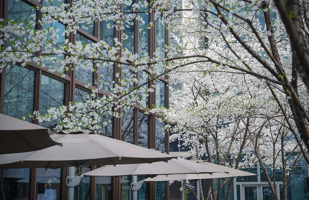 Midtown Shangri-La, Hangzhou, Moments From West Lake-1