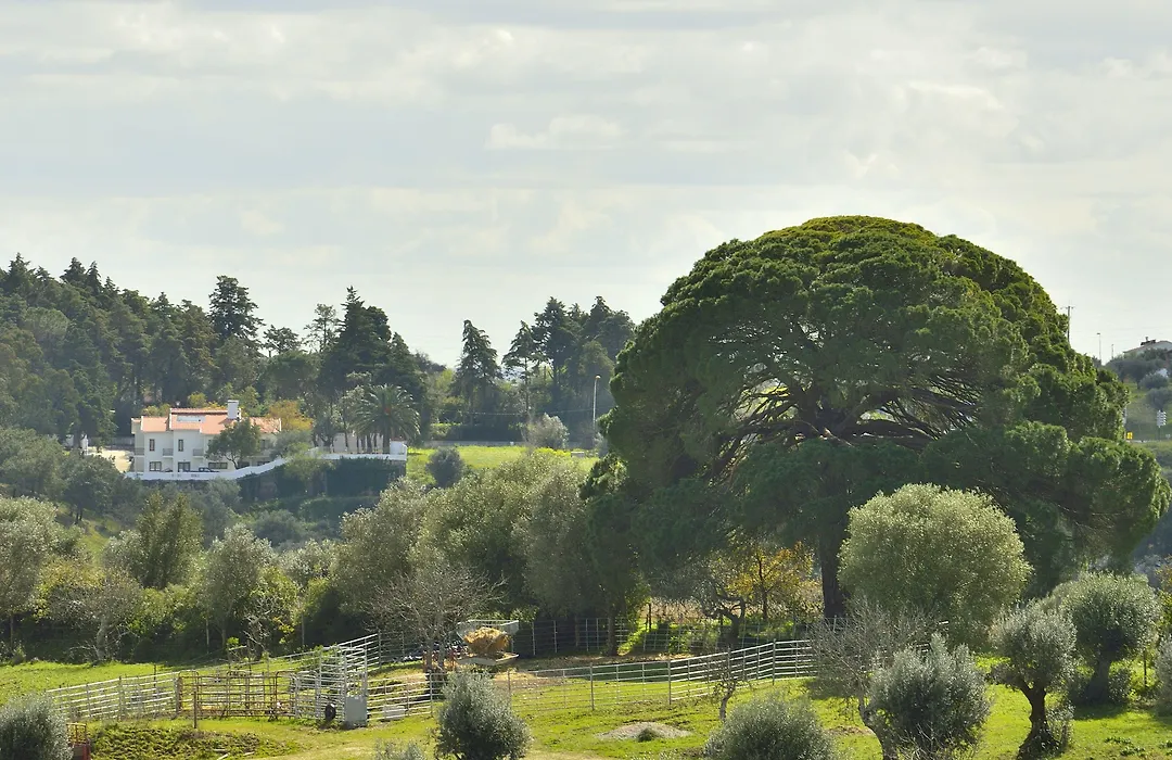 Aires Da Serra Hotel-1