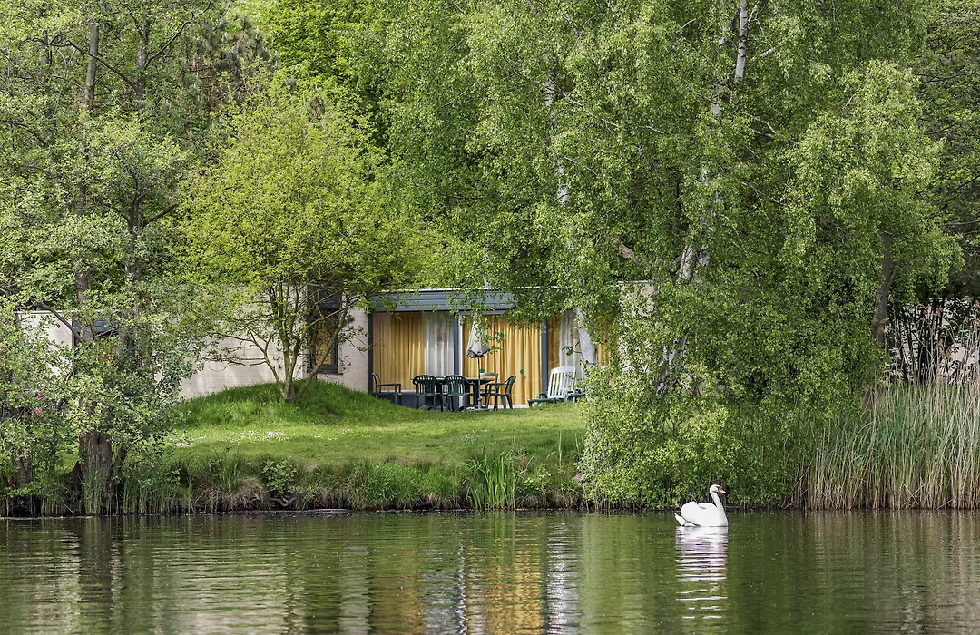 Center Parcs Meerdal Limburg-Brabant-1