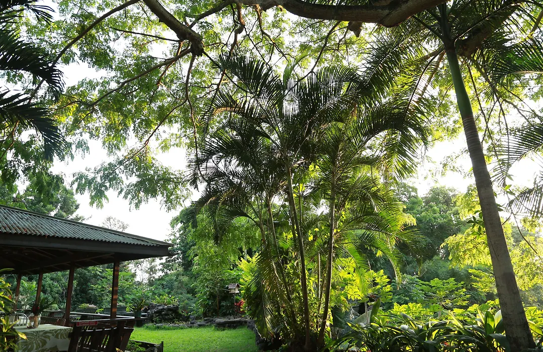 Hale Maluhia Country Inn-1