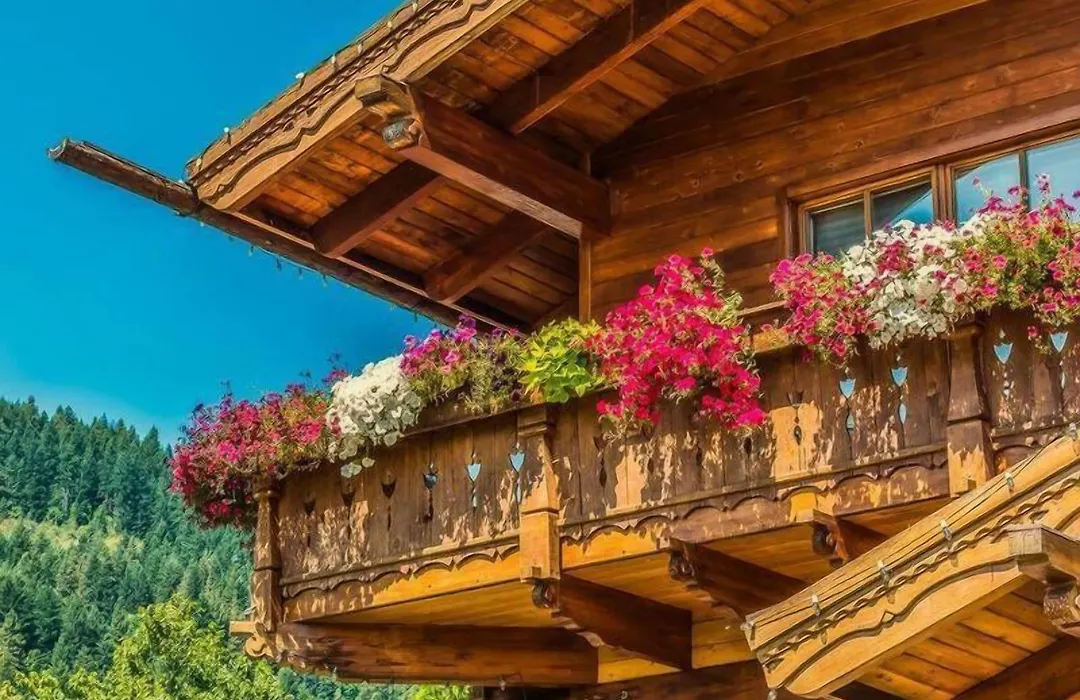 Abendblume (Adults Only)-1