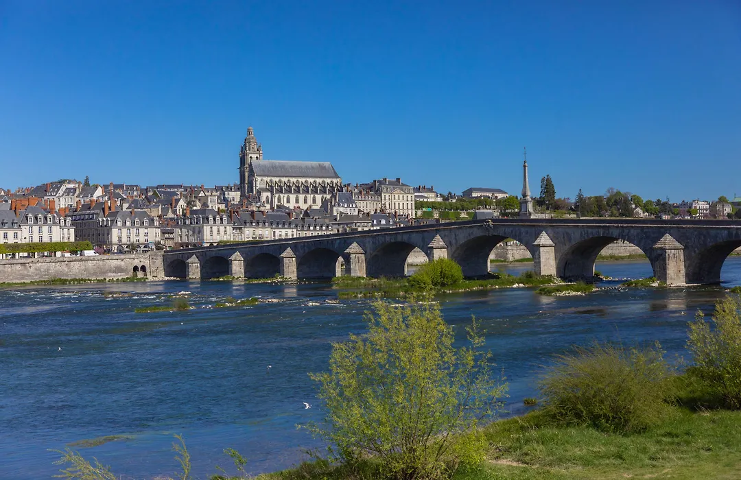 Fleur De Loire-1