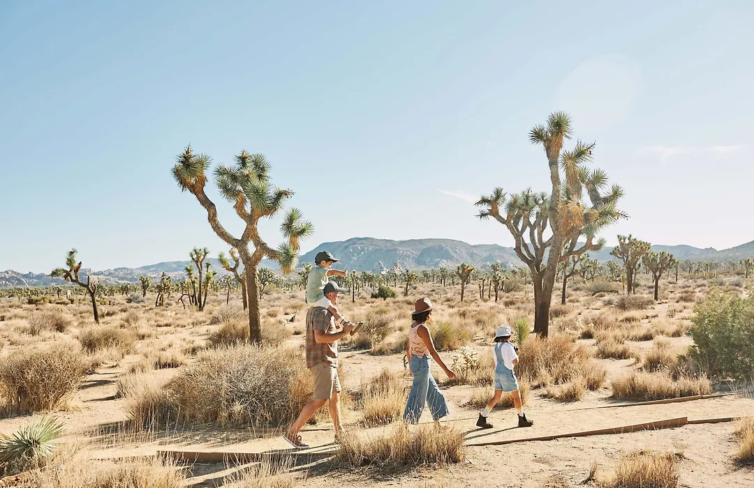 Field Station Joshua Tree-1