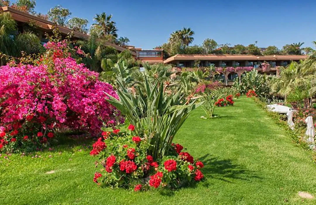 Acacia Resort-1