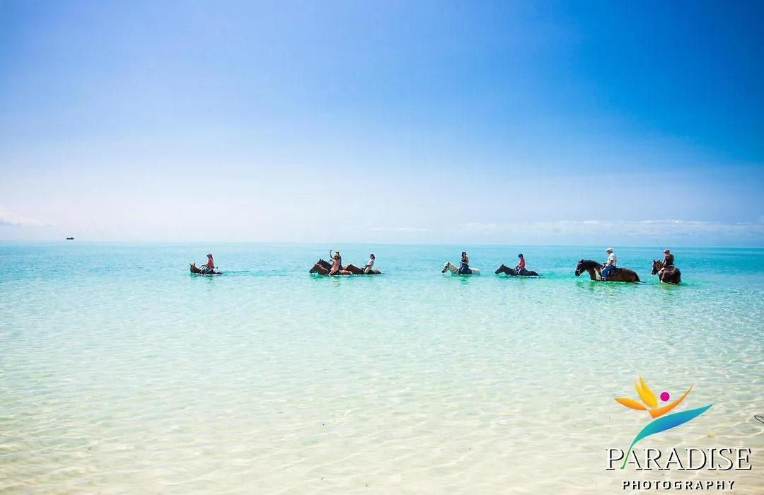 Kokomo Botanical Resort - Caribbean Family Cottages-1