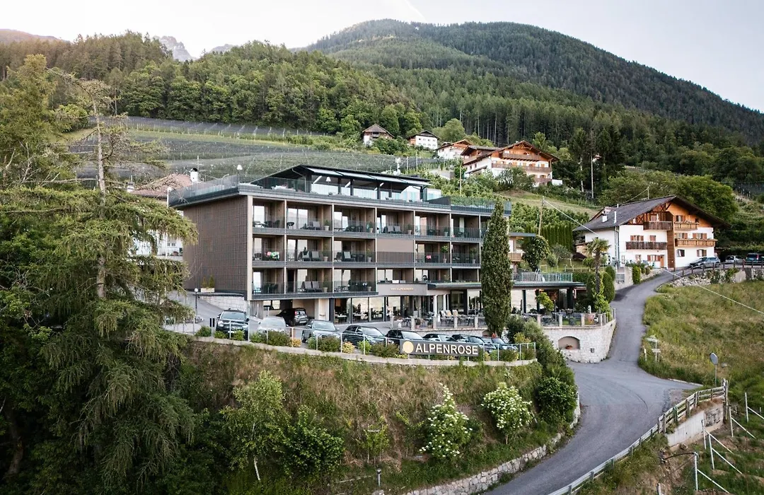 Hotel Alpenrose-1