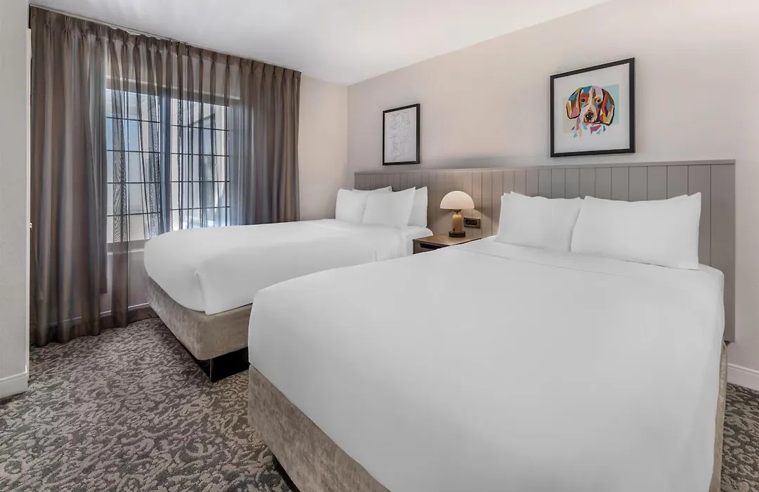 Sonesta Es Suites Anaheim Resort Area-1