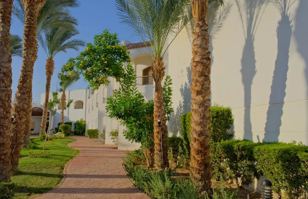 Coral Hills Resort Sharm El-Sheikh-1