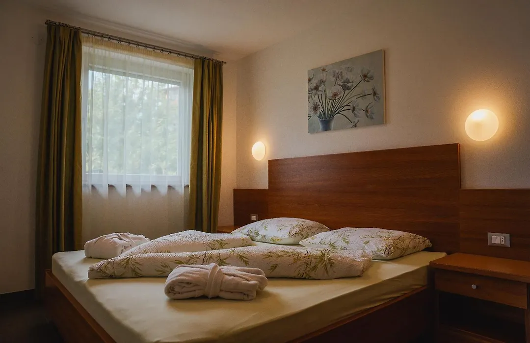 Hotel - Appartements Schmied Hans-1
