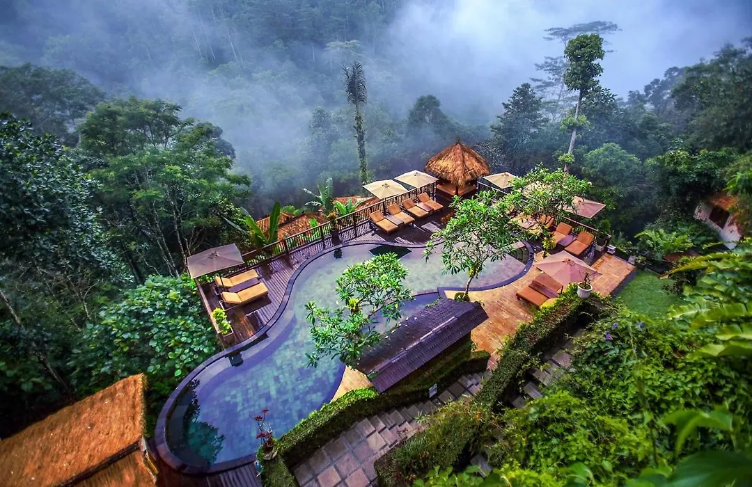 Nandini Jungle By Hanging Gardens-1