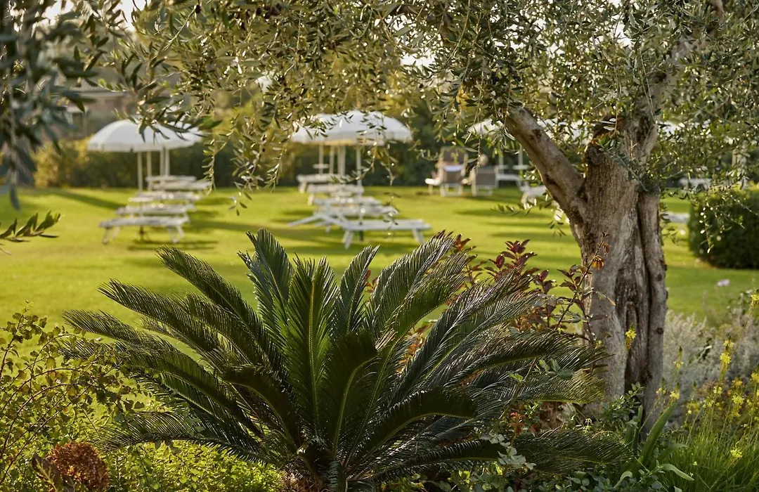 Park Hotel Casimiro-1