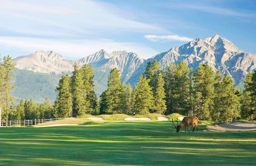 Fairmont Jasper Park Lodge-1