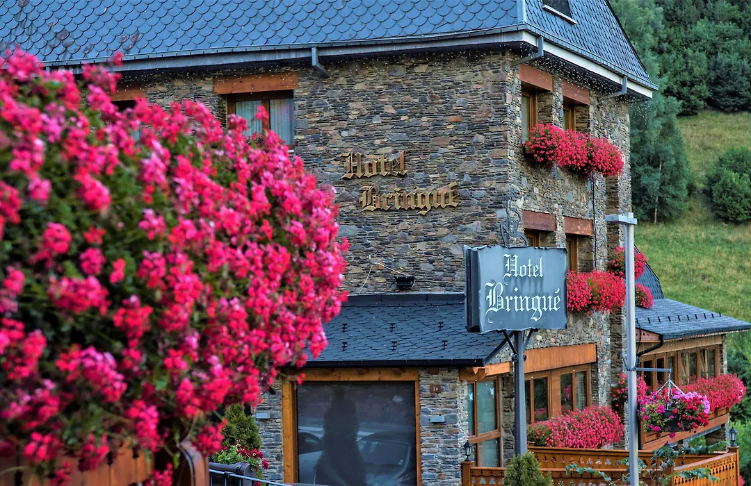 Hotel&SPA Bringué-1