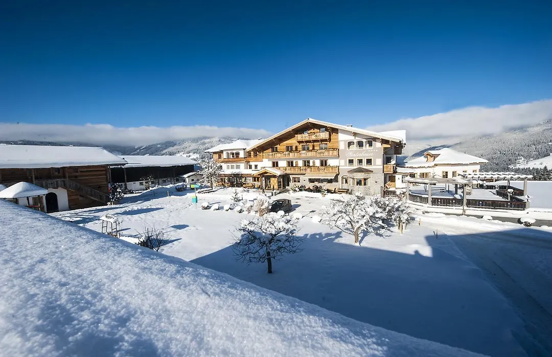 Hotel Winterbauer-1