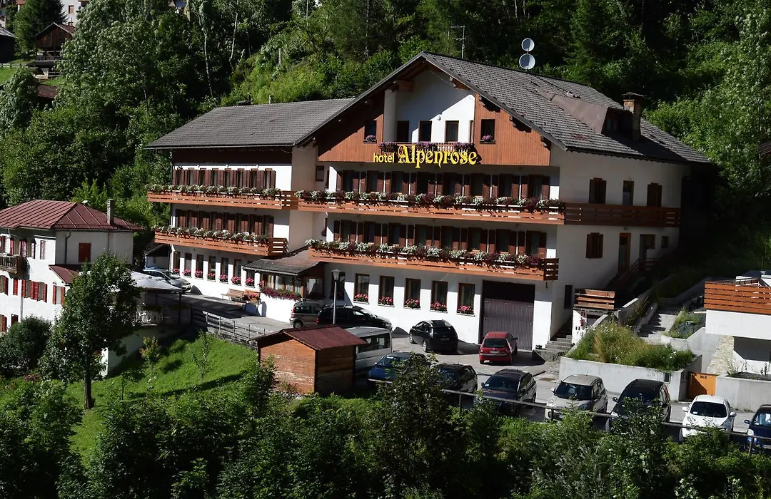 Hotel Alpenrose-1
