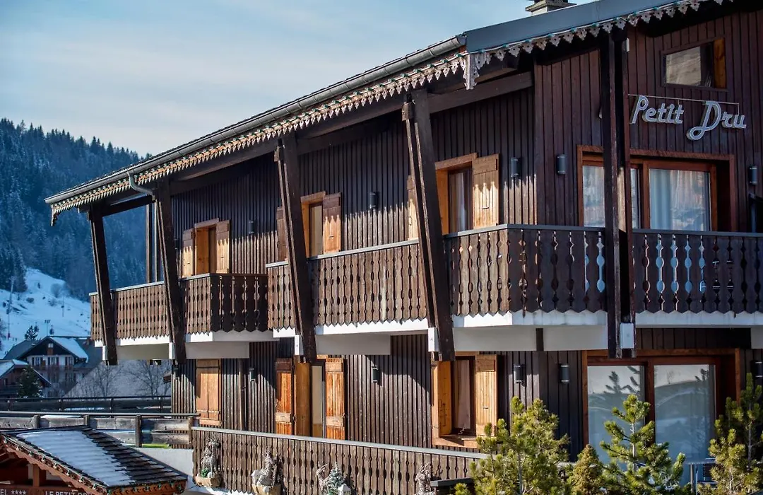 Hotel le Petit Dru-1