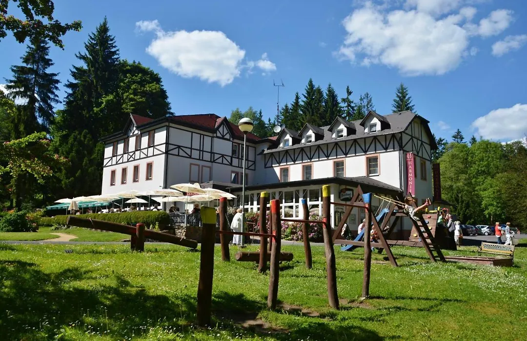 Spa&Wellness Hotel Harmonie-1