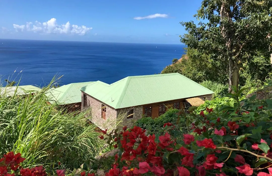 Jungle Bay Dominica-1