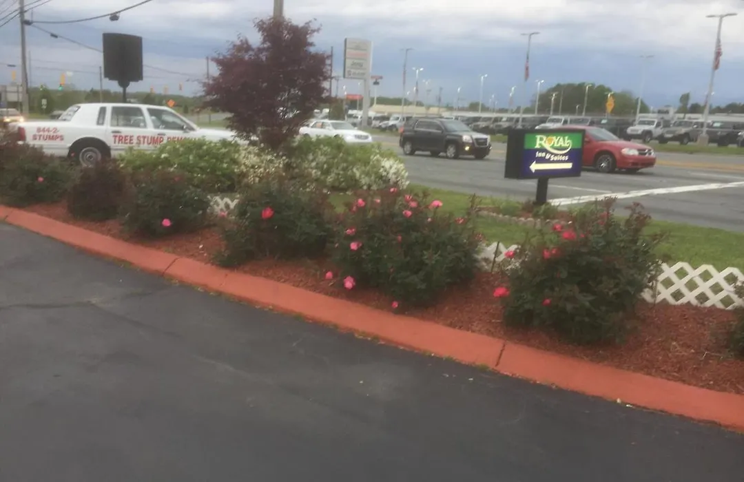 Royalinn & Suites-1