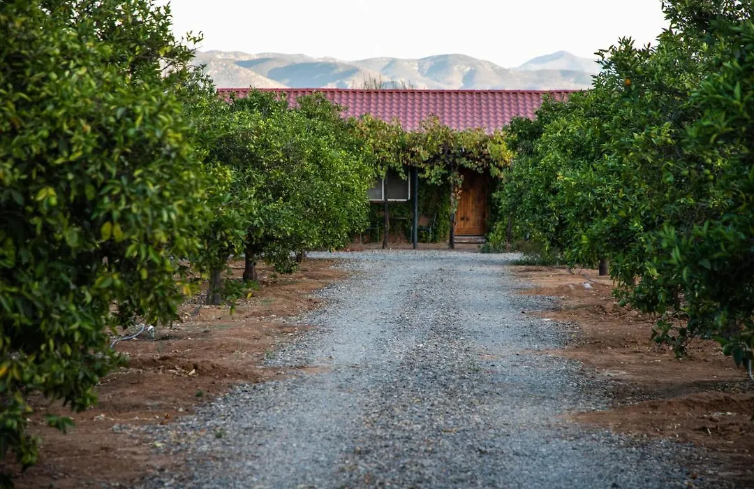 Terra Del Valle Bed & Breakfast-1