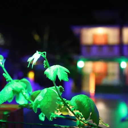 Hotel Ferrugem Eco Village-2