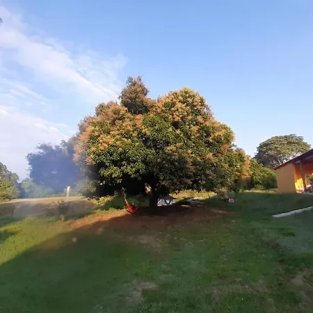 Mangoo Glamping-3