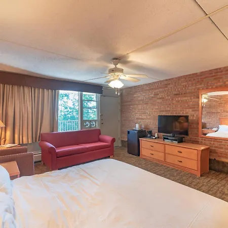 Mountain Chalet Snowmass-2