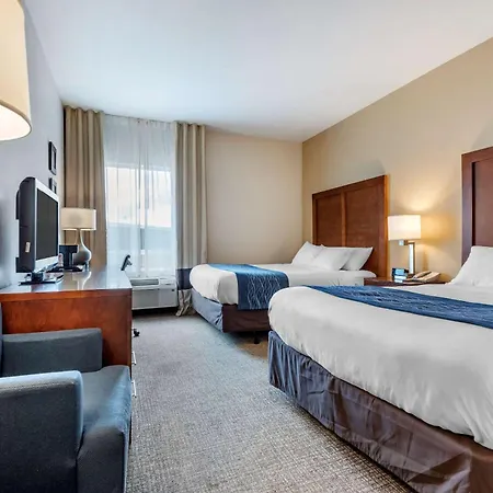 Comfort Inn Apalachin - Binghamton W Route 17-2