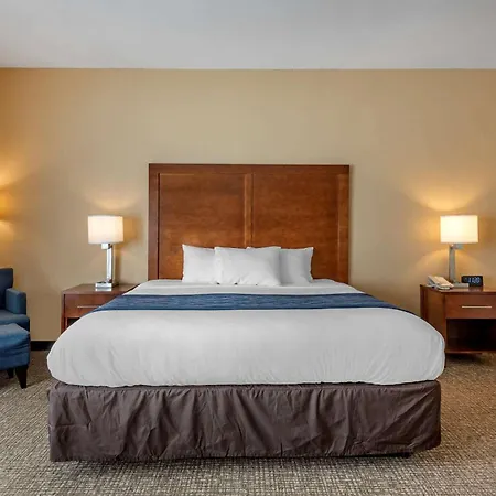 Comfort Inn Apalachin - Binghamton W Route 17-3