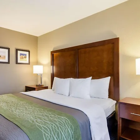 Comfort Inn Garden City-2