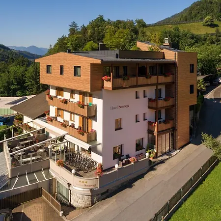 Hotel Pension Sonnegg-3