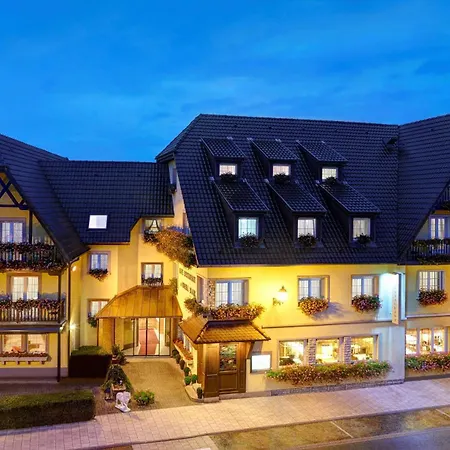 Best Western Plus Au cheval Blanc à Mulhouse-3