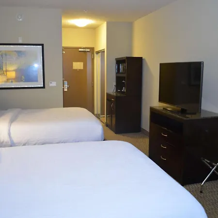 Hilton Garden Inn Houston-Pearland-3