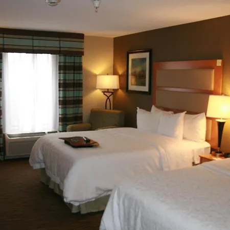 Hampton Inn & Suites Kalamazoo-Oshtemo-3