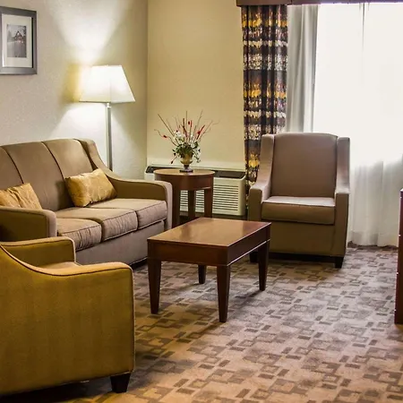 Comfort Inn Birch Run - Frankenmuth-3