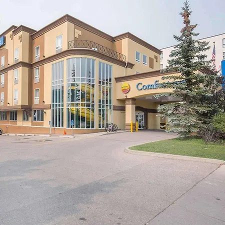Comfort Inn & Suites University-2