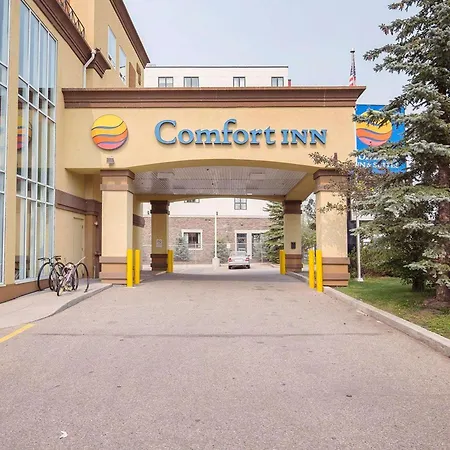 Comfort Inn & Suites University-3