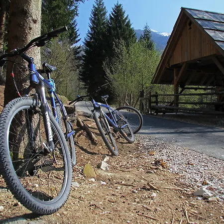 Bohinj Eco Hotel-3