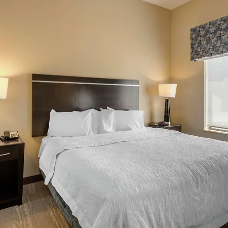 Hampton Inn Alamosa-2