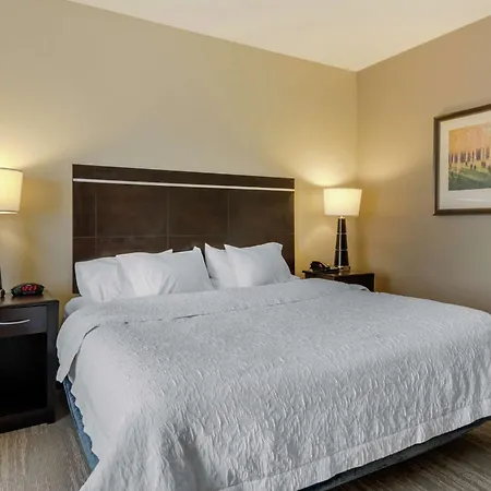 Hampton Inn Alamosa-3