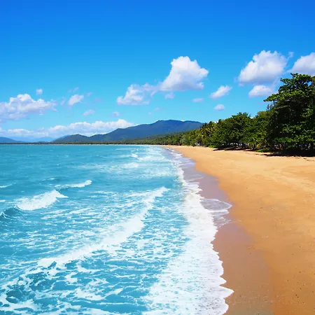 Drift Palm Cove-2