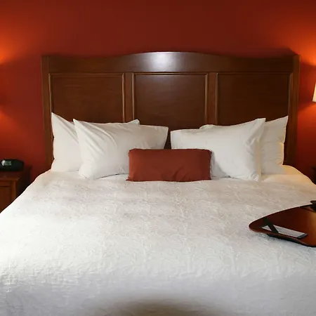 Hampton Inn & Suites Bastrop-3