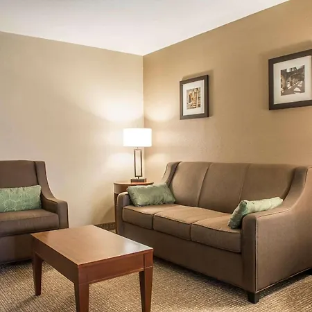 Comfort Inn Edinburg South-2